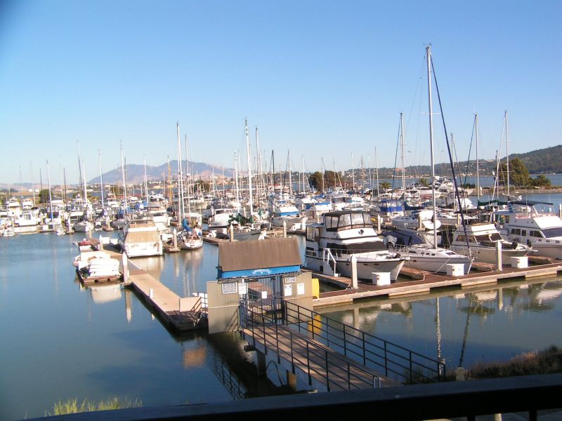 Harbor view.