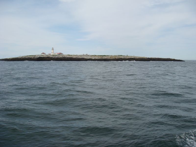 Machias Seal Island ...