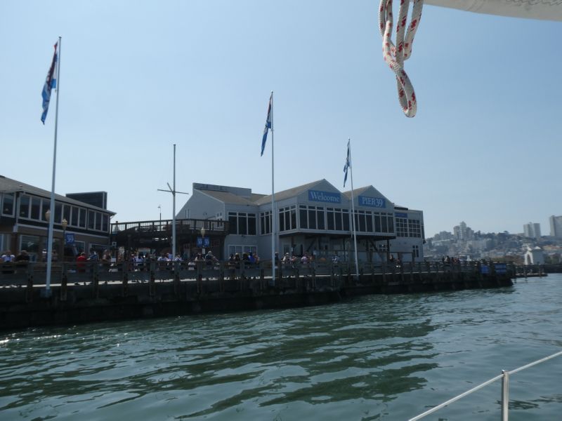 Pier 39<br>limp flags