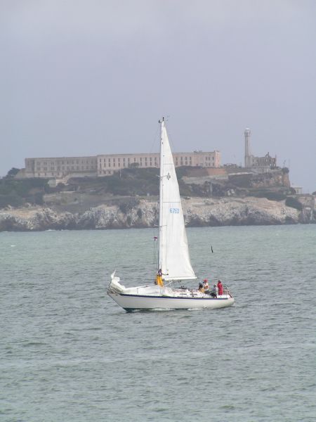 Alcatraz & <I>Cassiopiea</I>