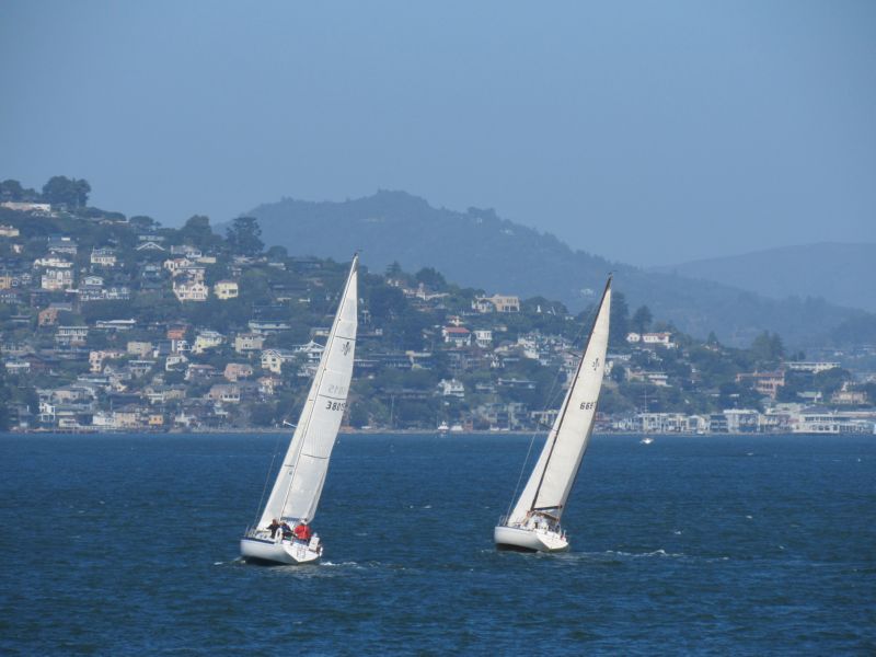 WindCatcher /  Bella Luna