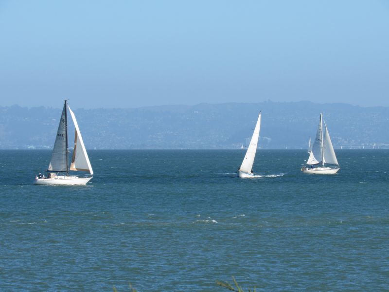 Bella Luna / Windwalker /<br>Hurulu