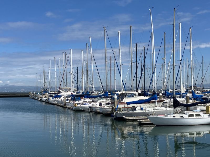 Brisbane Marina ...