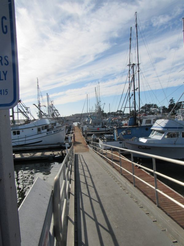 Dock E has ...
