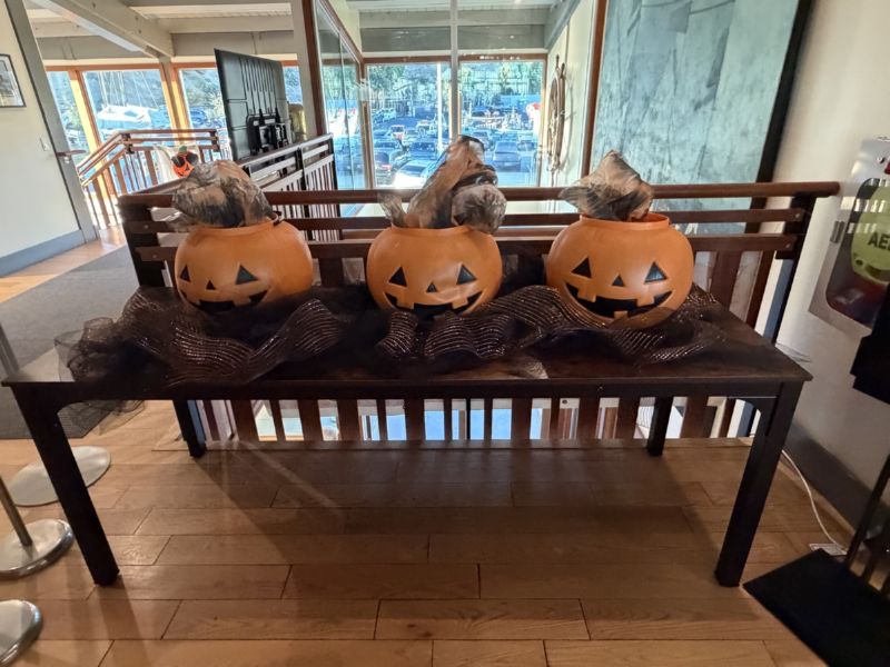 Pumpkins ...<BR>of course ...