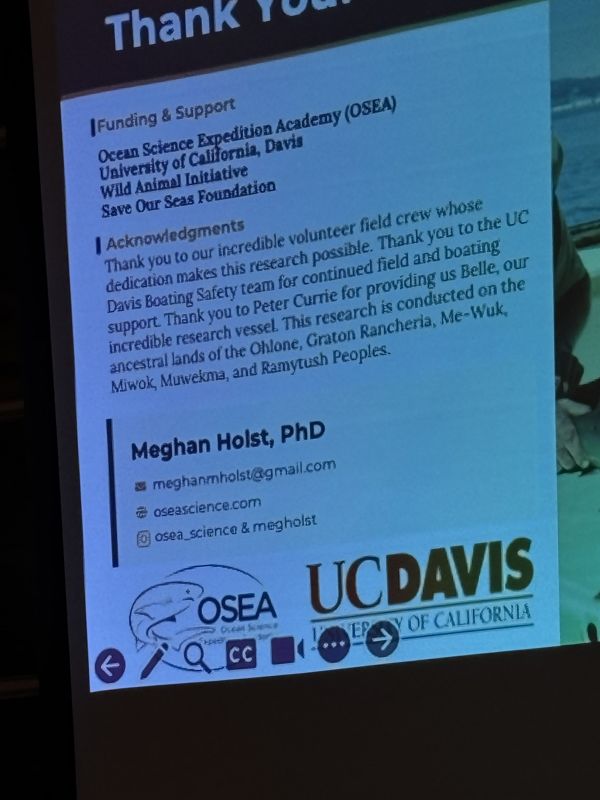 sharks in SF Bay, by ...