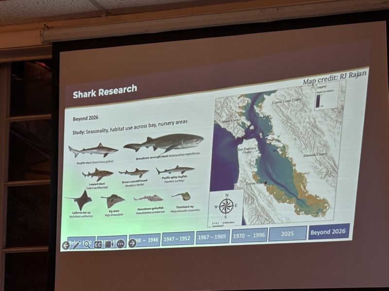 More than you thought