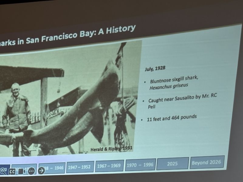 11 feet; 464 pounds!