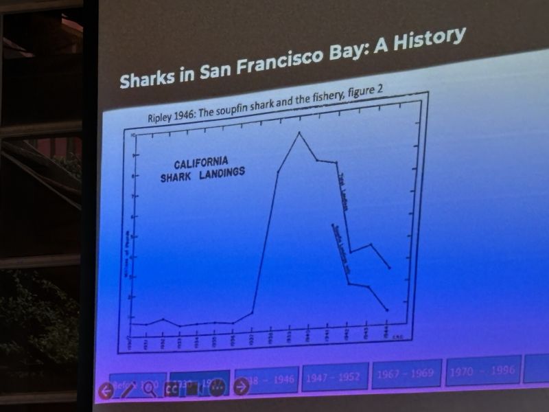 Peak shark harvests.