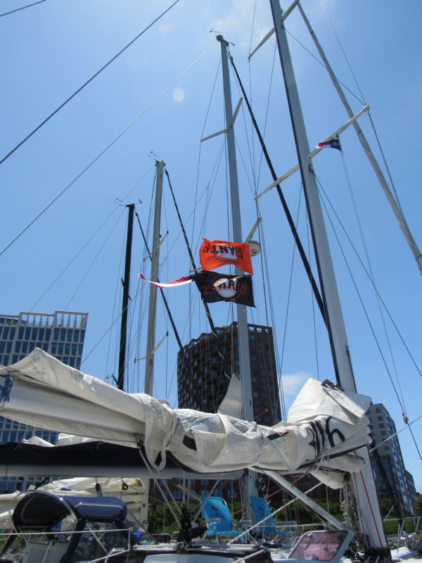 Flags fly