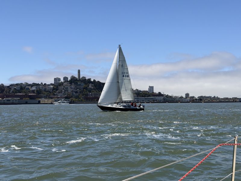 against Telegraph Hill